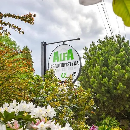 Agroturystyka Alfa Bystra  Exterior photo