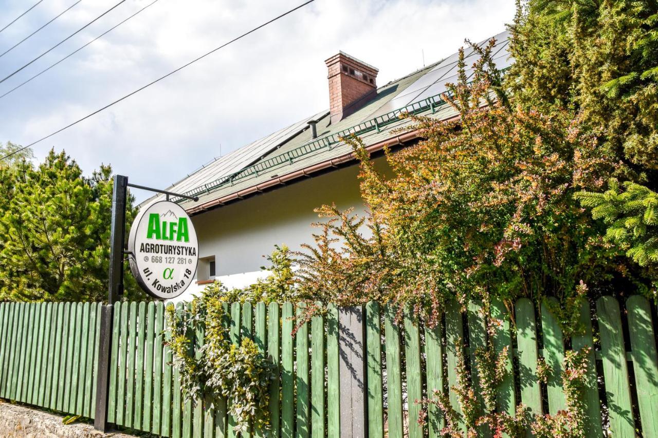 Farm stay Alfa Bystra (Bielsko)